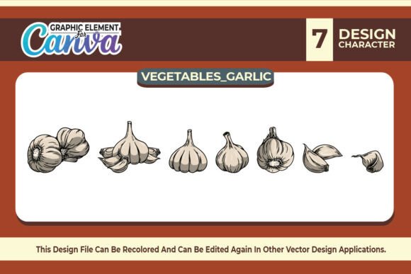 Garlic Vegetables Vector Set Graphic
